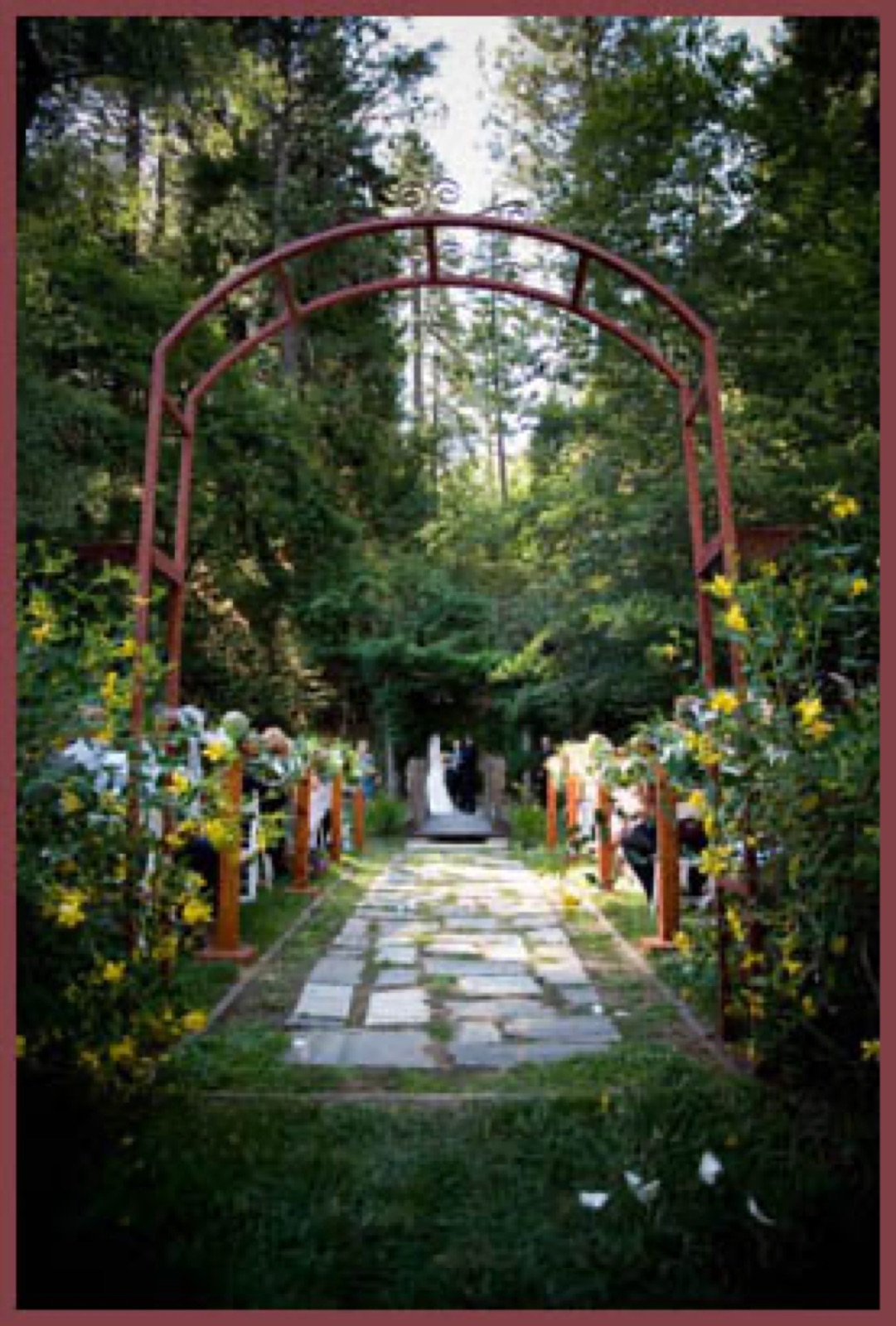 Twain Harte Tree Farm