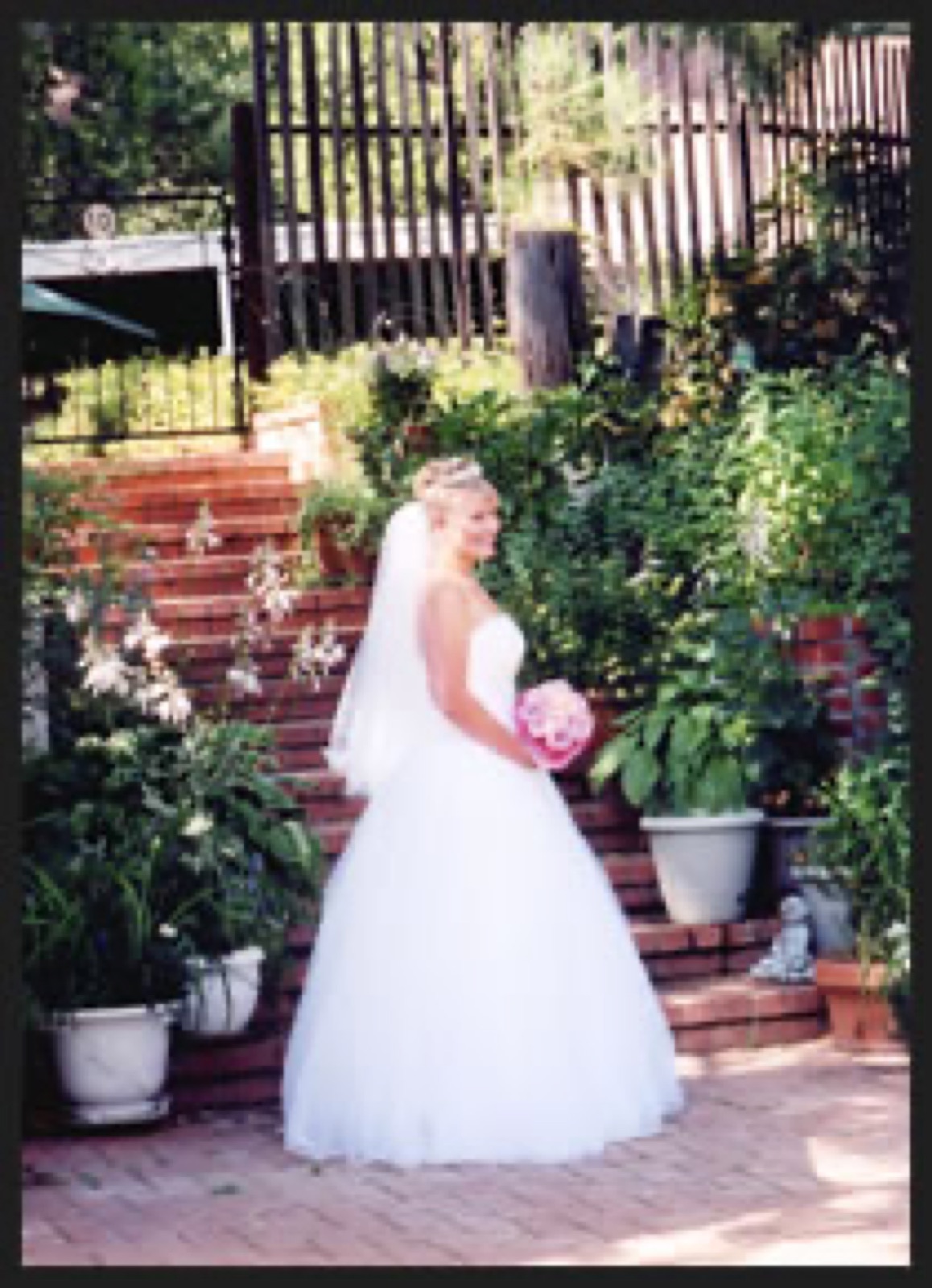 Meadow and forested grounds at Twain Harte Tree Farm wedding venue in Twain Harte, California
