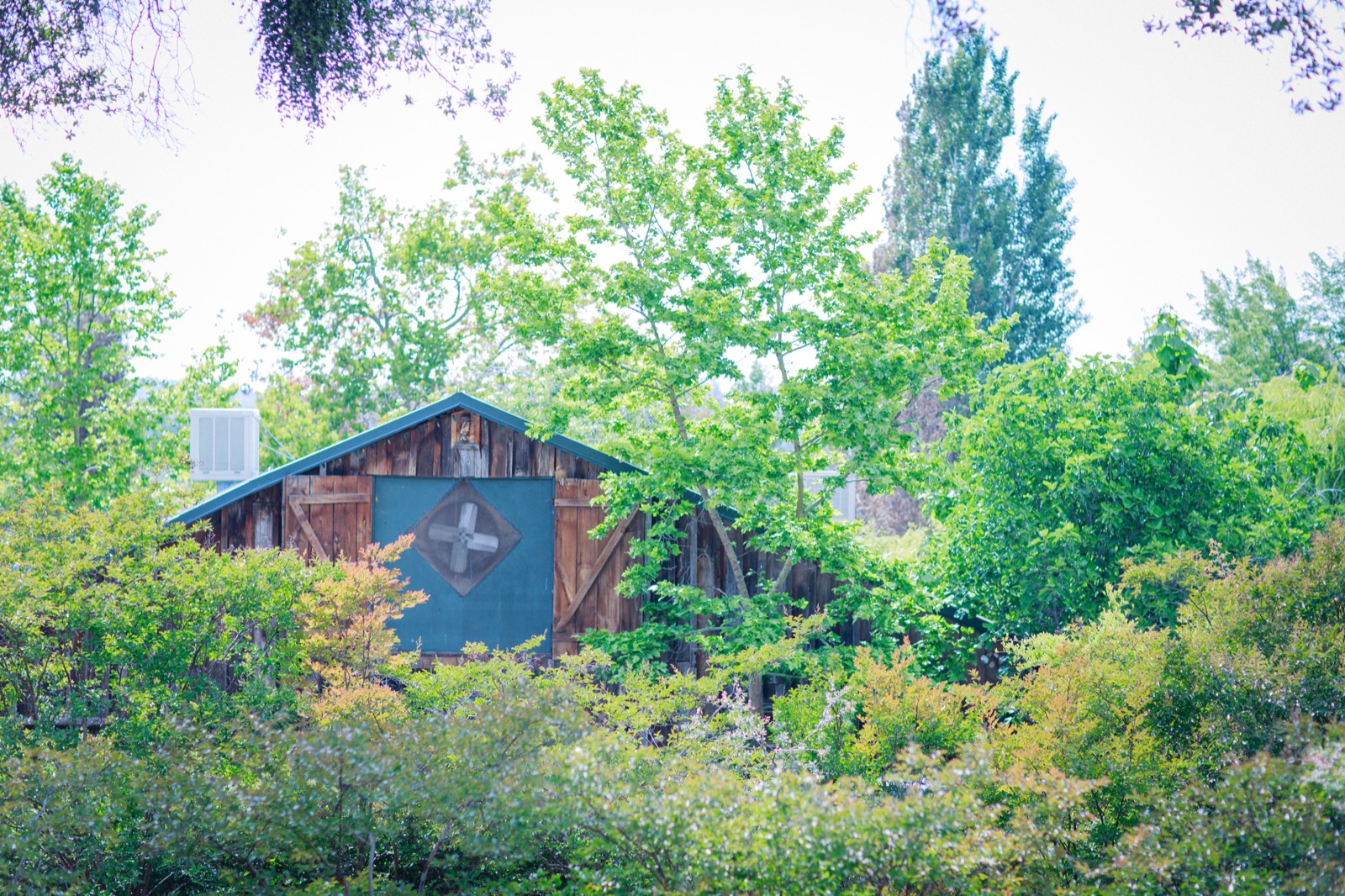 Outdoor ceremony setup at Union Hill Inn in Sonora, California