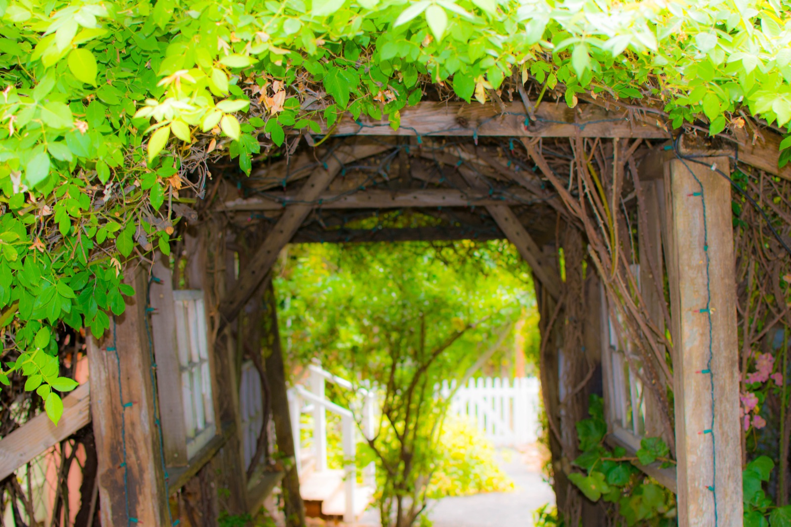 Wedding ceremony and reception details at Union Hill Inn in Sonora, California
