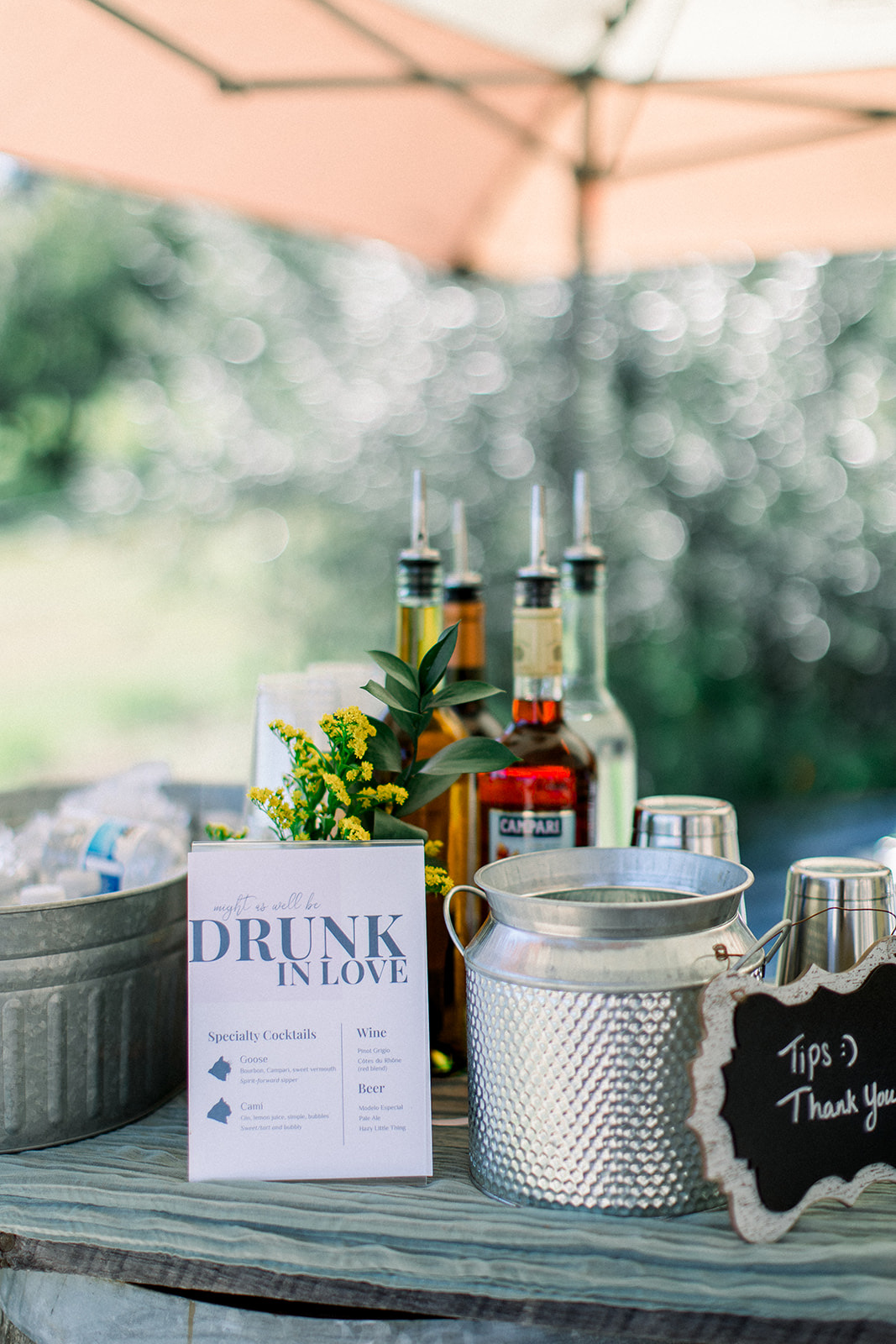 Garden cocktail hour at Vida Buena Farm wedding venue in Angels Camp, California