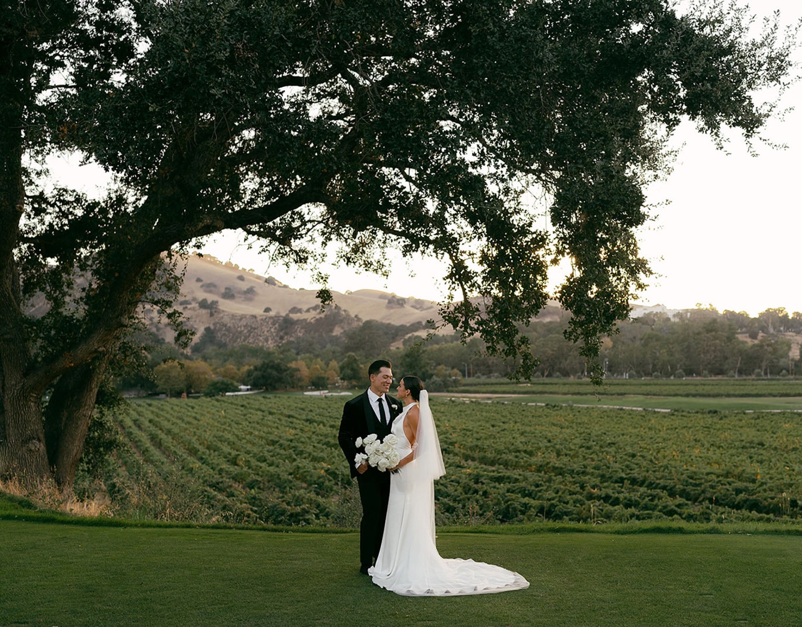 Wedding celebration setting amid the vineyards at Wente Vineyards in Livermore, California