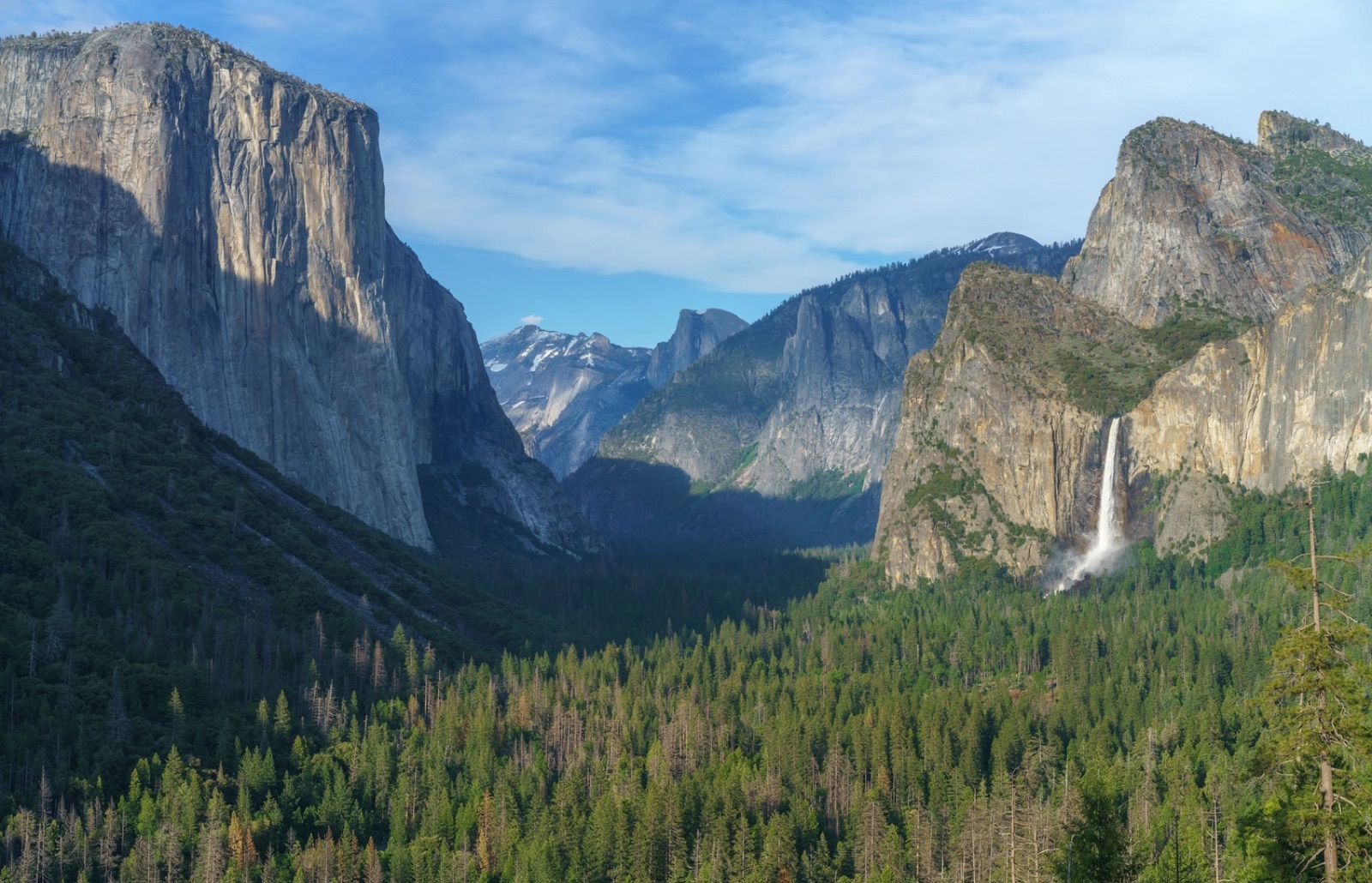 Cabins set among pines at Yosemite Pines RV Resort & Family Lodging in Groveland, California